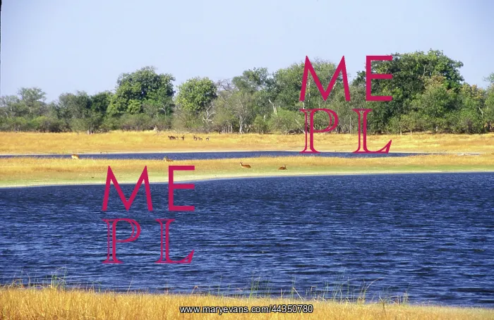 : Botswana, Okavango Delta, 2000: Scenic, travel, tourist : Botswana, Okavango Delta, 2000: Scenic, travel, tourist