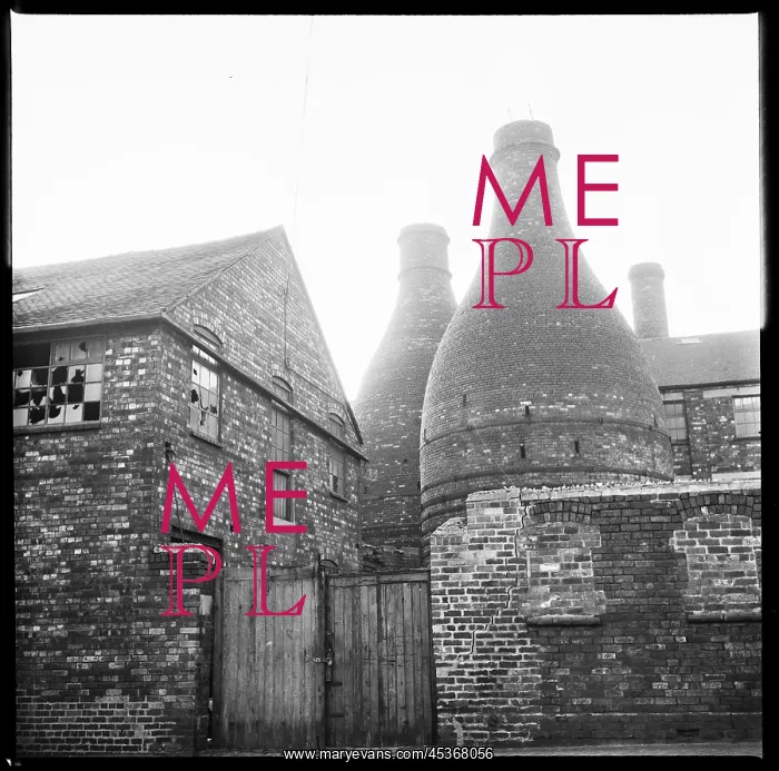 : Bottle kilns at a derelict pottery works : Bottle kilns at a derelict pottery works