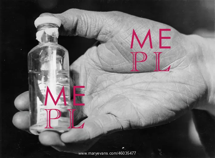 : Bottle with leeches : Bottle with leeches