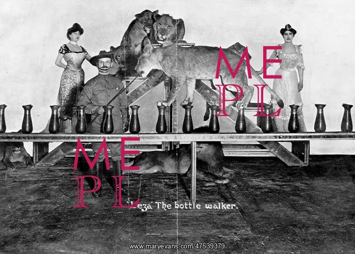  : Bottle walking lion