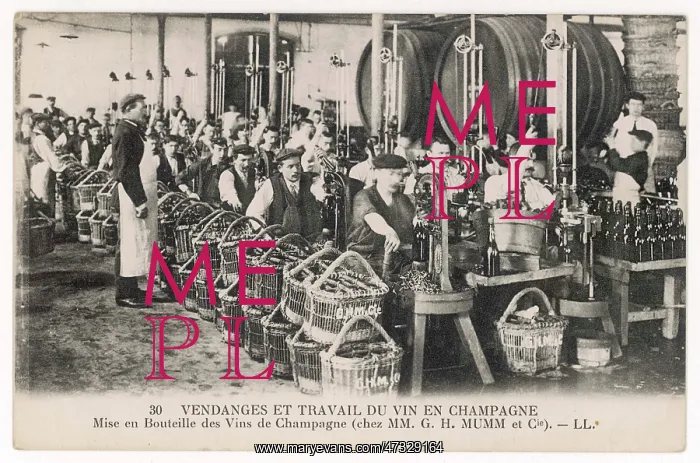  : BOTTLING AT MUMM'S