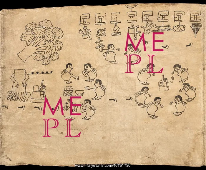 : Boturini Codex, Museo Nacional de Antropologia, Mexico City : Boturini Codex, Museo Nacional de Antropologia, Mexico City