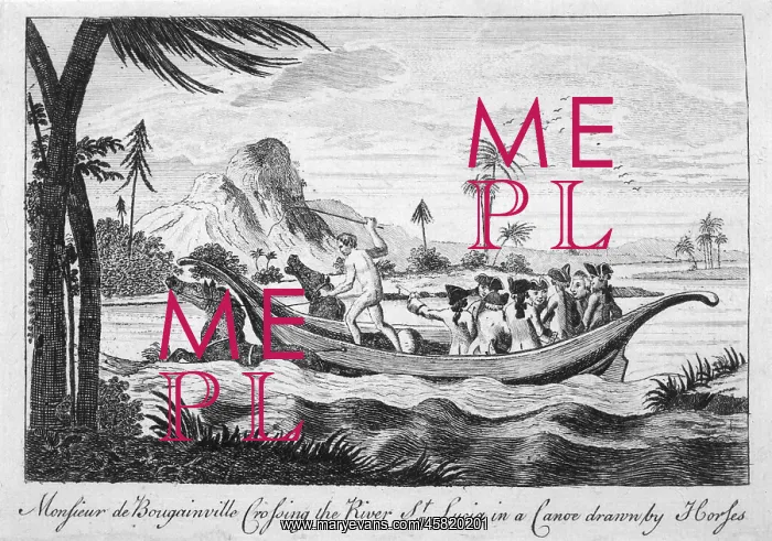 : BOUGAINVILLE ON RIVER : BOUGAINVILLE ON RIVER