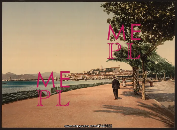 : The boulevards, Cannes, Riviera : The boulevards, Cannes, Riviera