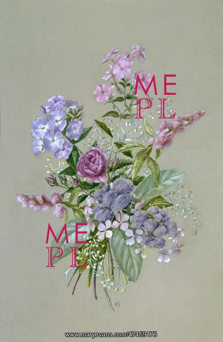 : A Bouquet. A bouquet of Phlox, Lacecap Hydrandea, Spiraea, Rose, Artimesia : A Bouquet. A bouquet of Phlox, Lacecap Hydrandea, Spiraea, Rose, Artimesia