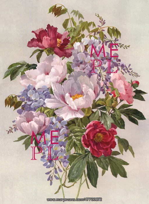  : Bouquet