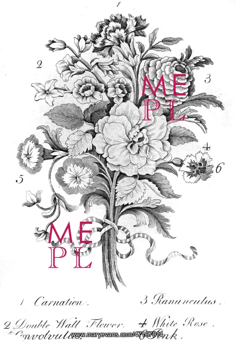 : Bouquet of assorted flowers : Bouquet of assorted flowers