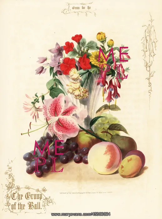 : Bouquet of flowers and fruit : Bouquet of flowers and fruit