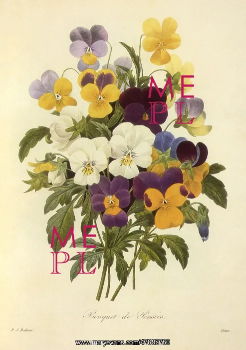 : Bouquet de Pensees : Bouquet de Pensees