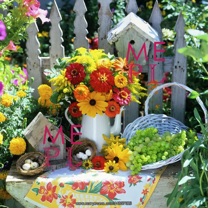 : BOUQUET OF YELLOW AND RED FLOWERS IN PITCHER : BOUQUET OF YELLOW AND RED FLOWERS IN PITCHER