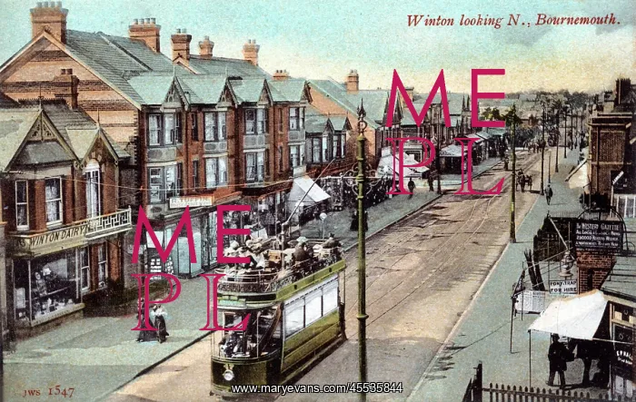  : Bournemouth. Winton looking North