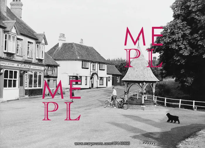  : BOVINGDON, HERTS