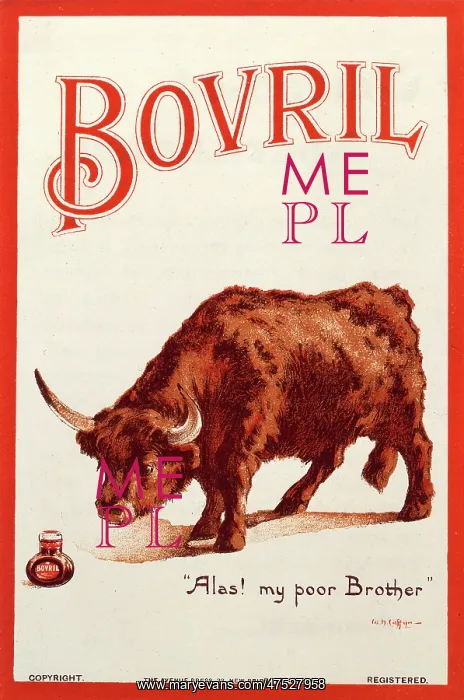  : Bovril advert