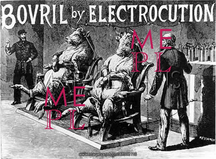 : BOVRIL BY ELECTROCUTION : BOVRIL BY ELECTROCUTION