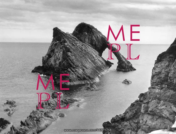 : BOW FIDDLE ROCK : BOW FIDDLE ROCK