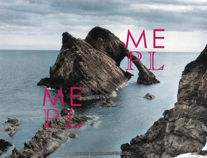 : BOW FIDDLE ROCK : BOW FIDDLE ROCK