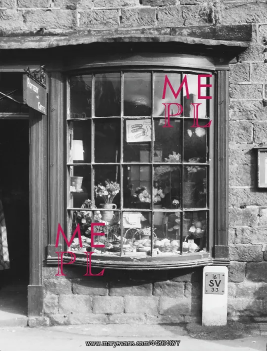 : BOW-FRONTED SHOP WINDOW : BOW-FRONTED SHOP WINDOW