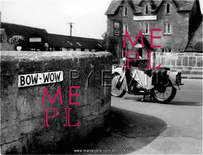 : BOW-WOW STREET : BOW-WOW STREET
