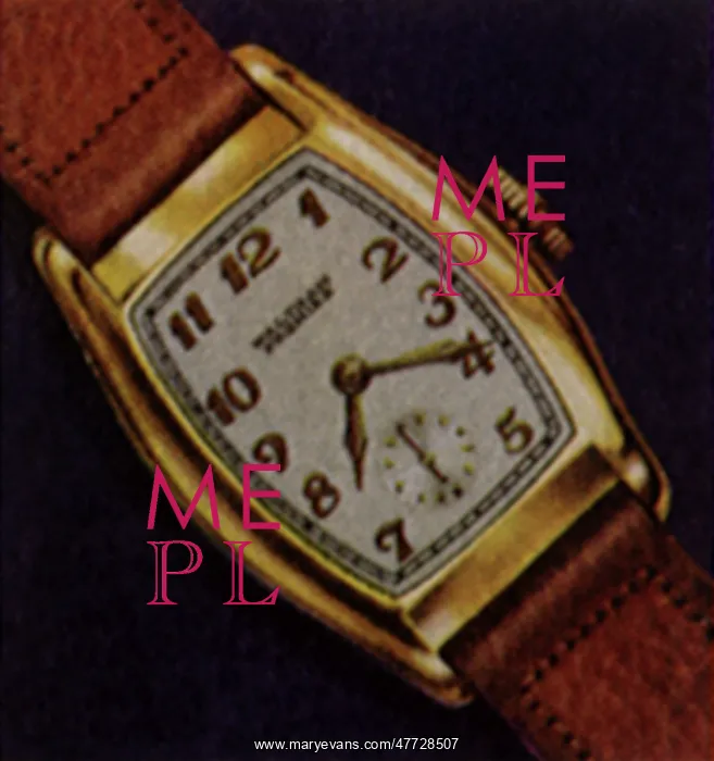  : Bowed Bezel