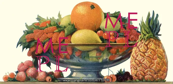 : Bowl of Fruit : Bowl of Fruit