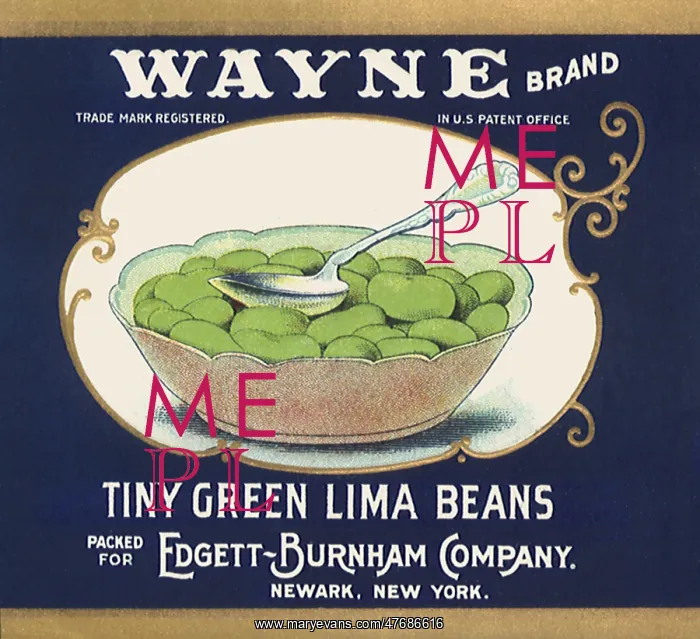  : Bowl of Lima Beans