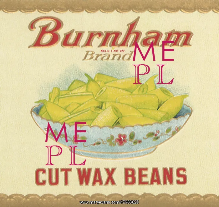  : Bowl of Lima Beans