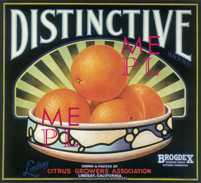  : Bowl of Oranges