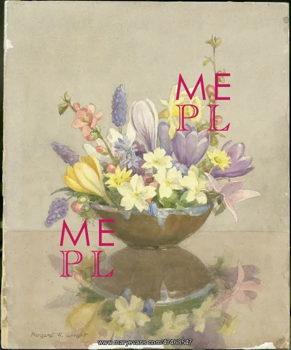: Bowl of primroses, blossom, and crocuses : Bowl of primroses, blossom, and crocuses