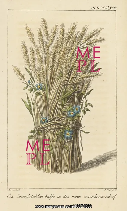 : Bowl in the shape of a corn-sheaf : Bowl in the shape of a corn-sheaf