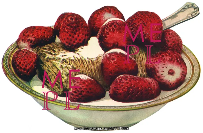 : Bowl of Shredded Wheat : Bowl of Shredded Wheat