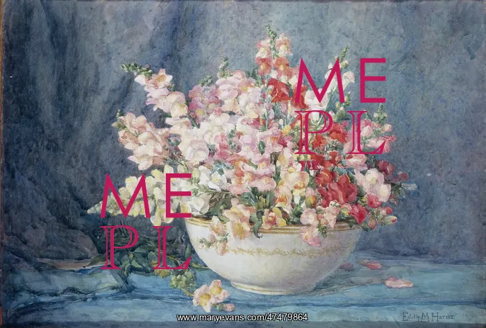  : Bowl of Snapdragons