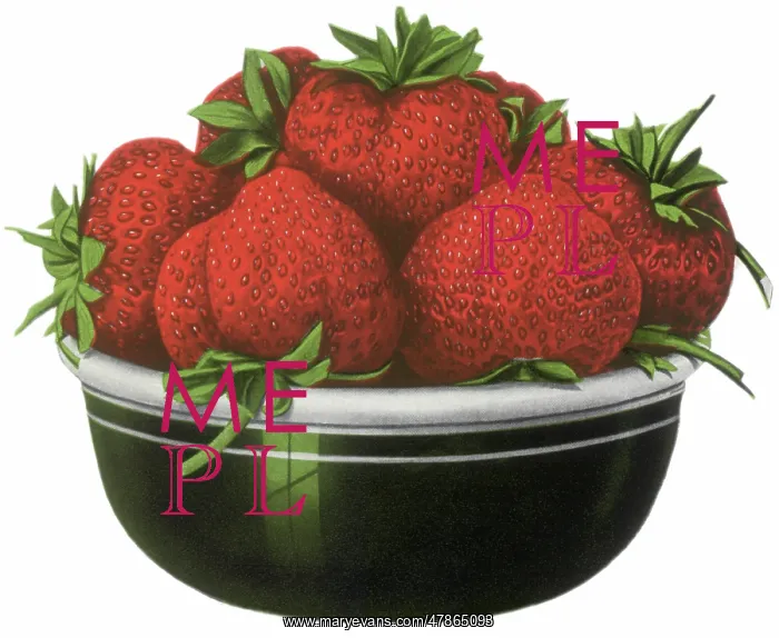  : Bowl of Strawberries