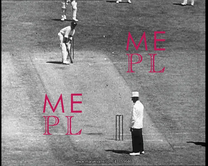 : Bowler Bowling a Ball to a Batter playing cricket : Bowler Bowling a Ball to a Batter playing cricket