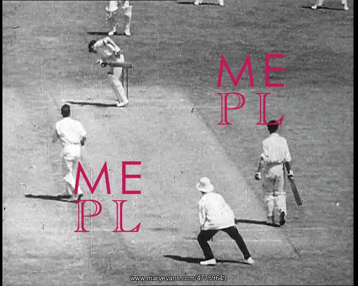 : Bowler Bowling a Ball to a Batter playing cricket : Bowler Bowling a Ball to a Batter playing cricket