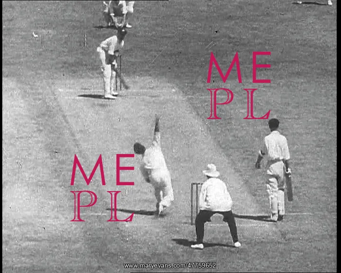 : Bowler Bowling a Ball to a Batter playing cricket : Bowler Bowling a Ball to a Batter playing cricket