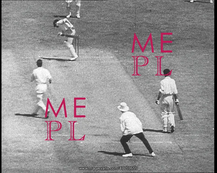 : Bowler Bowling a Ball to a Batter playing cricket : Bowler Bowling a Ball to a Batter playing cricket