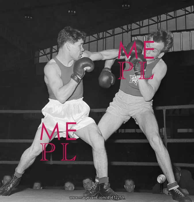 : Box - boxing - fighter - match - rematch - direct : Box - boxing - fighter - match - rematch - direct