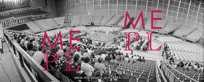 : Box Competition : Box Competition