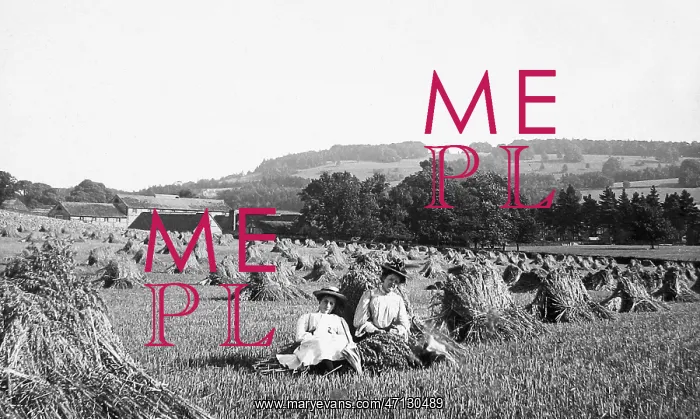  : Box Hill Dorking haymaking Victorian period