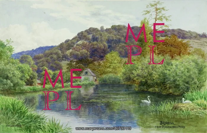 : Box Hill, Dorking, Surrey, viewed from Pixham Mill Pond : Box Hill, Dorking, Surrey, viewed from Pixham Mill Pond