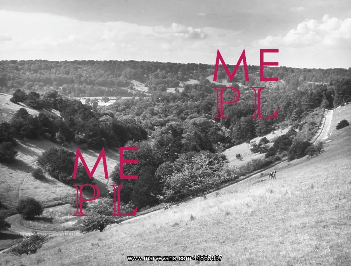 : BOX HILL, SURREY : BOX HILL, SURREY