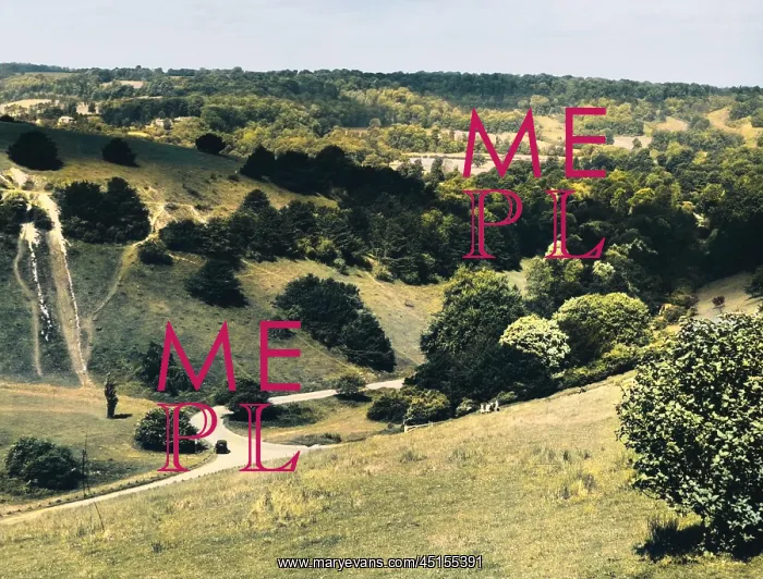 : BOX HILL, SURREY : BOX HILL, SURREY