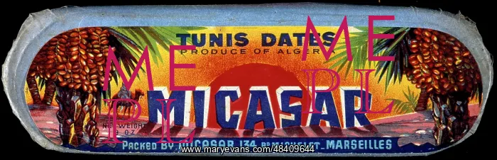 : Box label, Tunis Dates, Micasar, Algeria : Box label, Tunis Dates, Micasar, Algeria