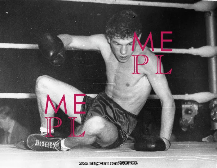 : Boxer Dai Dower 1933 - : Boxer Dai Dower 1933 -
