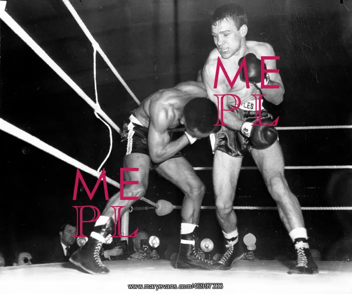 : Boxer Dave Charnley 1935 - : Boxer Dave Charnley 1935 -