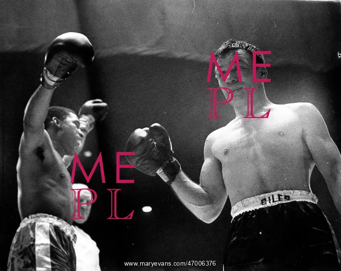 : Boxer Dave Charnley 1935 - : Boxer Dave Charnley 1935 -