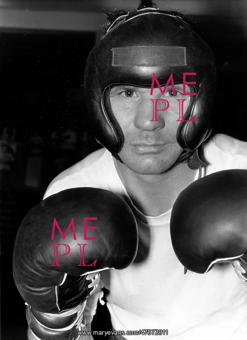 : Boxer Fabio Bettini 1938 - : Boxer Fabio Bettini 1938 -