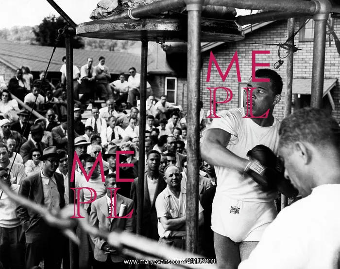 : Boxer Joe Louis 1914 - 1981 : Boxer Joe Louis 1914 - 1981
