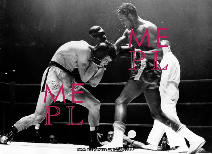 : Boxer Kid Gavilan 1926 - 2003 : Boxer Kid Gavilan 1926 - 2003