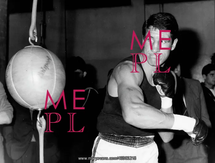 : Boxer Luis Folledo 1937 - : Boxer Luis Folledo 1937 -